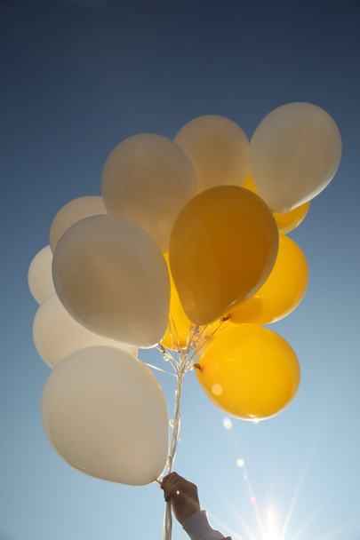 Sheaf balloons against the cloudy blue sky - Photo, image