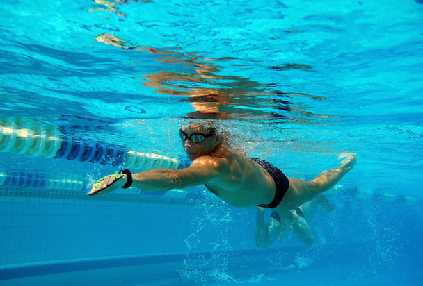 плавець у басейні
 - Фото, зображення