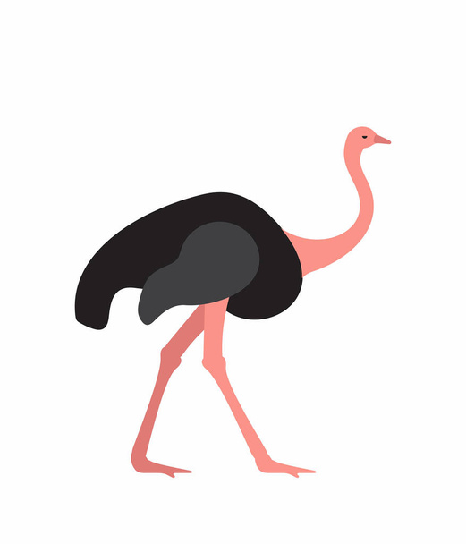 Иконка страуса
.  - Вектор,изображение