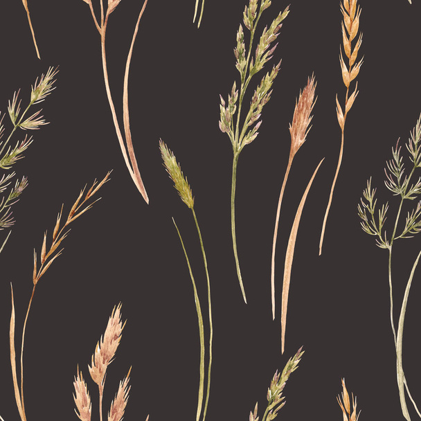 Wild field grass pattern - Фото, изображение