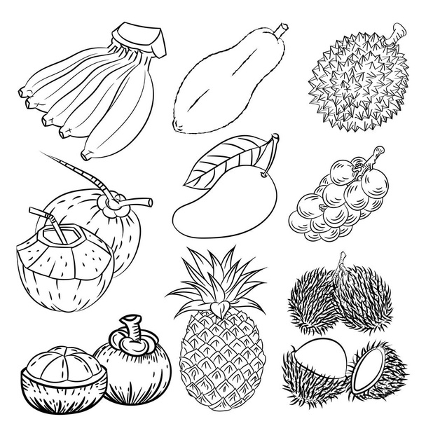 Ручной рисунок набора различных тропических фруктов и векторных эскизов
 - Вектор,изображение