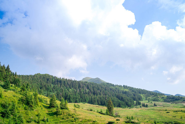 Travel, trekking. Summer landscape - mountains, green grass, trees and blue sky. Horizontal frame - Foto, afbeelding