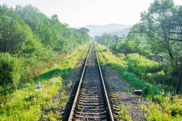 Travel, rest. A view of the railway tracks surrounded by trees, grass and bushes. Horizontal frame - Photo, image