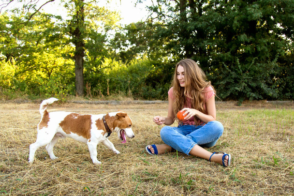 Ragazza carina sta giocando con il suo cane nel parco
 - Foto, immagini