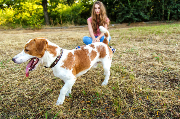 Ładna dziewczyna bawi się z psem w parku - Zdjęcie, obraz
