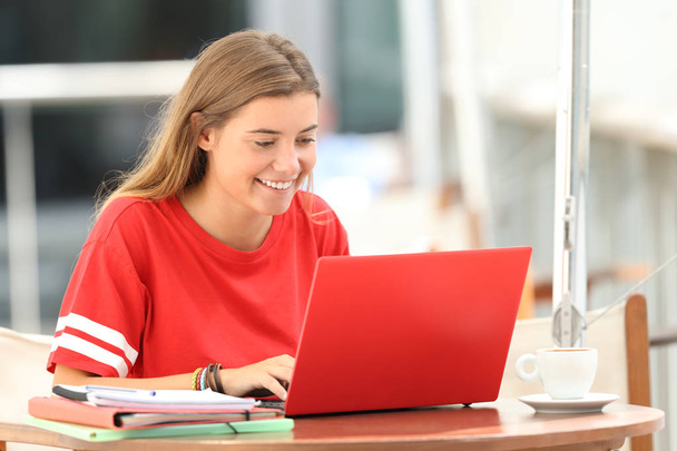Happy student typing in a laptop in a bar - Zdjęcie, obraz