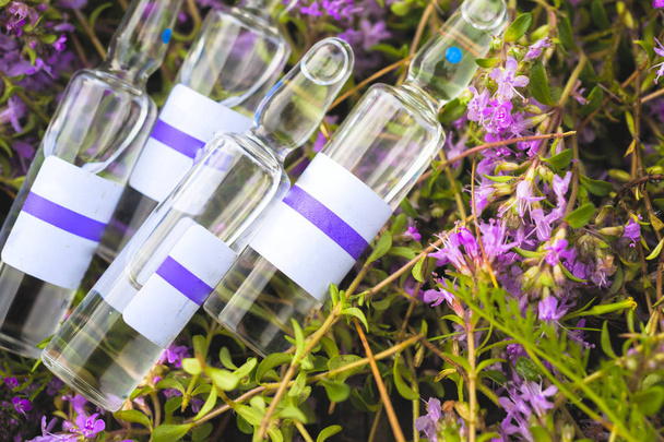 Alternative Medicine.Thyme and medical ampoules. Essential oils - Photo, Image