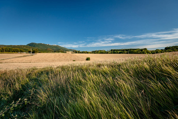 Paisaje típico francés en verano con campos de grano
 - Foto, imagen