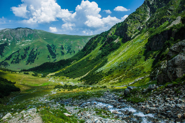 Arkhyz の美しい夏の風景 - 写真・画像