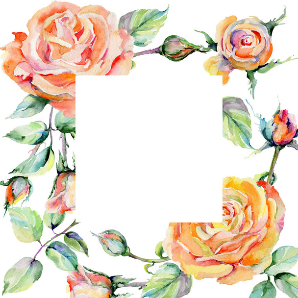 Wildflower rose flower frame in a watercolor style. - Foto, Bild