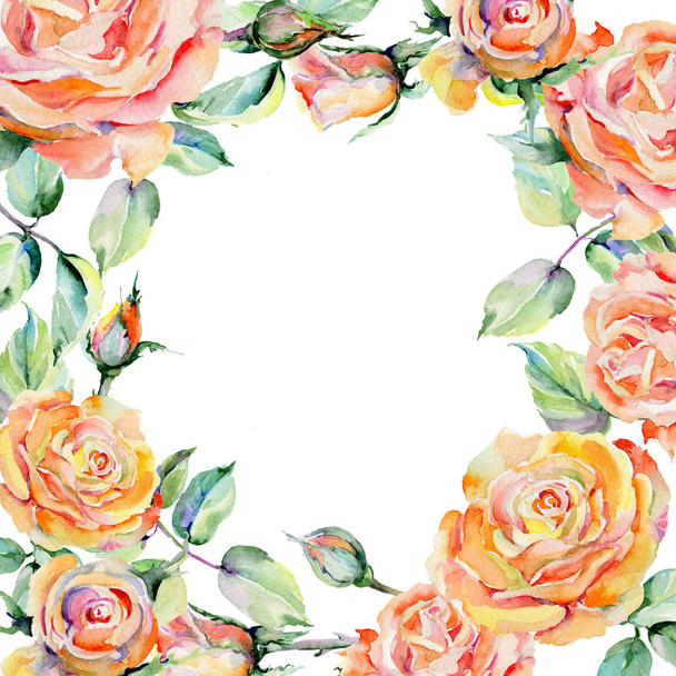 Cadre fleur rose fleur sauvage dans un style aquarelle
. - Photo, image