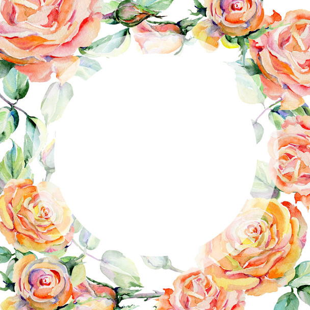 Wildflower rose flower frame in a watercolor style. - Foto, Imagen