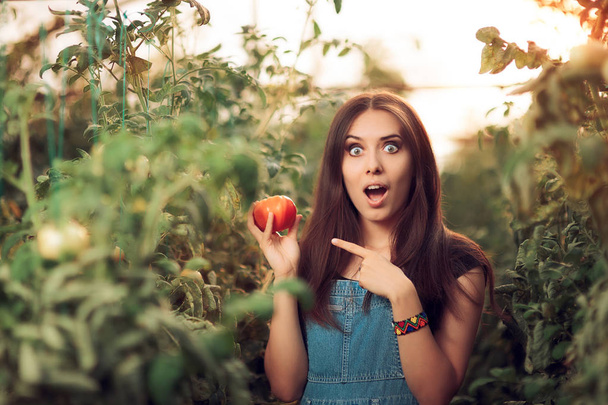 Здивована ферма дівчина тримає помідор всередині теплиці
 - Фото, зображення
