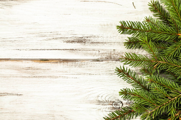 Green fir tree, christmas background, empty space for text - Foto, immagini