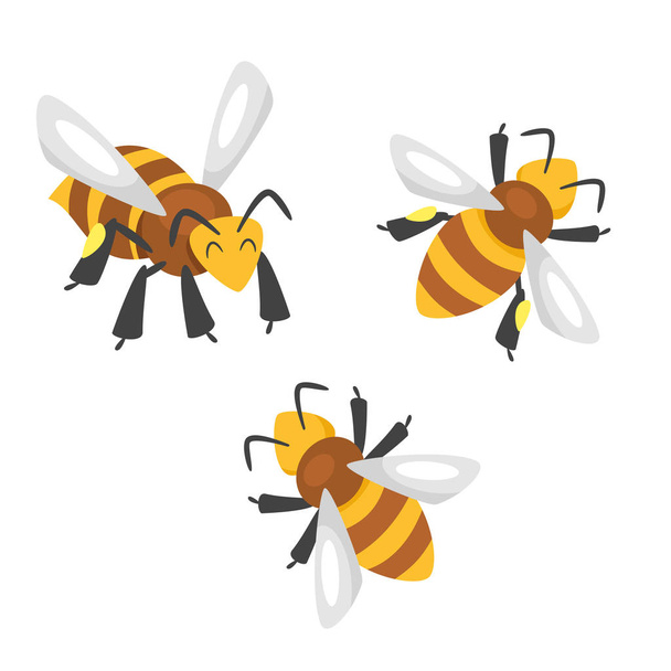 Vektor rajzfilm stílusú méhek. - Vektor, kép