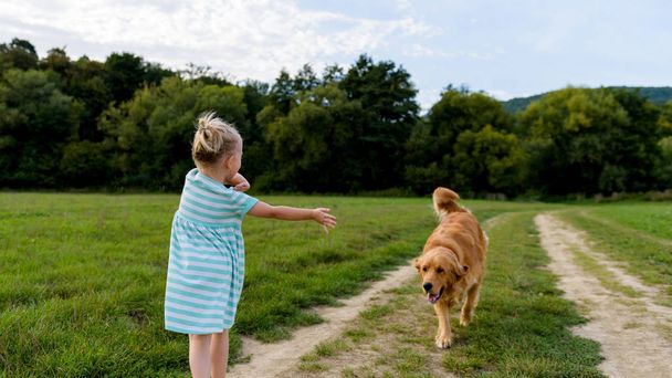Adorable preschool girl playing with her cute pet dog golden retriever on a meadow - Foto, Imagem