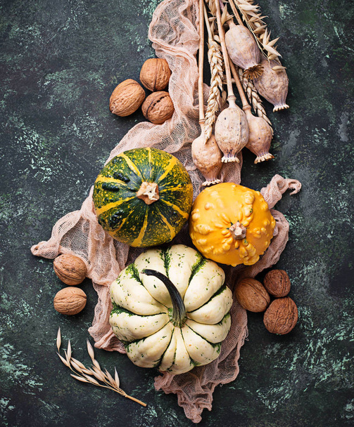  Pumpkins and nuts.  - Foto, Bild