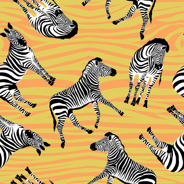 Zebra pattern, vector, illustration - Διάνυσμα, εικόνα