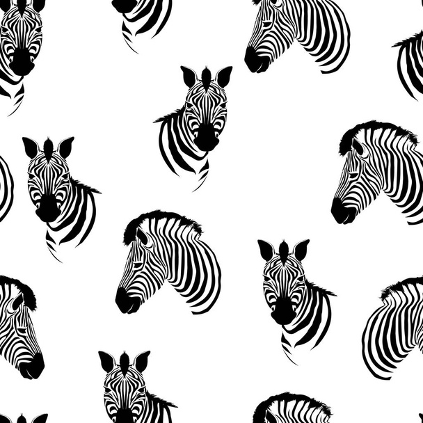 Zebra pattern, vector, illustration - Vektör, Görsel