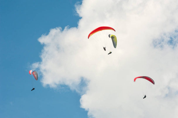 Group of paragliders fly in summer sunny day. Carpathians, Ukraine. Paragliders against the background of clouds. - Photo, Image