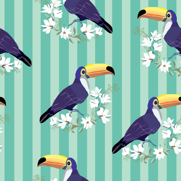 Toucan, bird, vector, illustration - Вектор,изображение