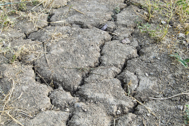 die Dürren, die auftraten, nachdem sich das ökologische Gleichgewicht der Welt verschlechtert hatte, die Bildung von Rissen in der Erde, die Dürre der globalen Erwärmung, trockene Böden, die vom Durst getrennt waren, trockene, rissige Böden, rissige Bodenbilder, Dürrebilder - Foto, Bild
