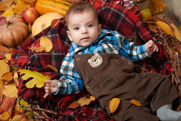 хлопчик лежить на тартановому плед з жовтим осіннім листям, яблуками, гарбузом та прикрасою, осінній сезон
 - Фото, зображення