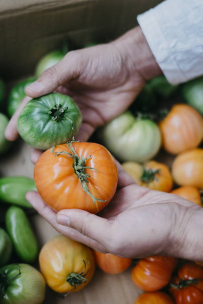 Çiftçi homegrown domates ile - Fotoğraf, Görsel