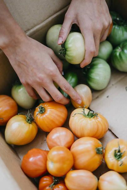 Çiftçi homegrown domates ile - Fotoğraf, Görsel
