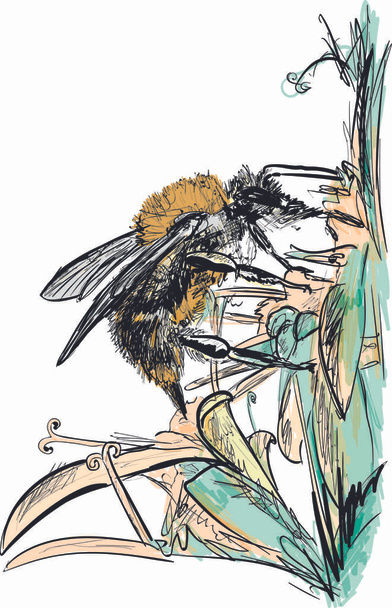 Bumblebee synny günde - Vektör, Görsel
