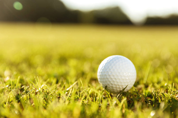 Close up of a golf ball on a tee - Foto, Imagen