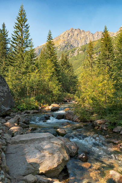 Valle de Roztoka, Alto Tatras, Polonia
 - Foto, imagen