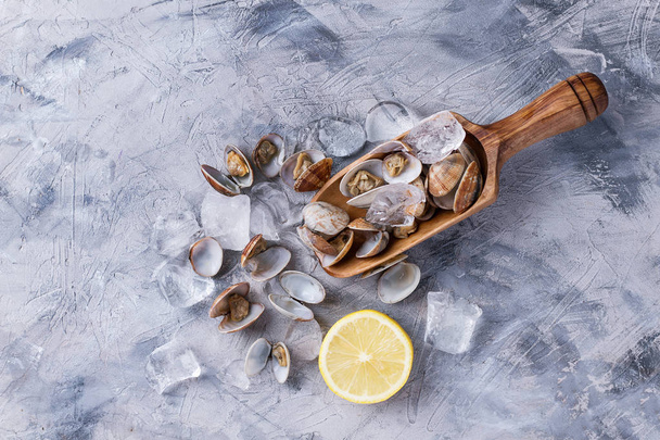 Vongole shellfish with lemon - Foto, imagen