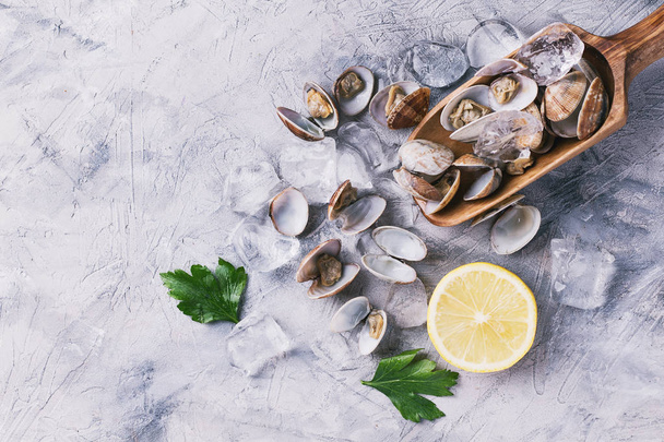 Vongole shellfish with lemon - Photo, image