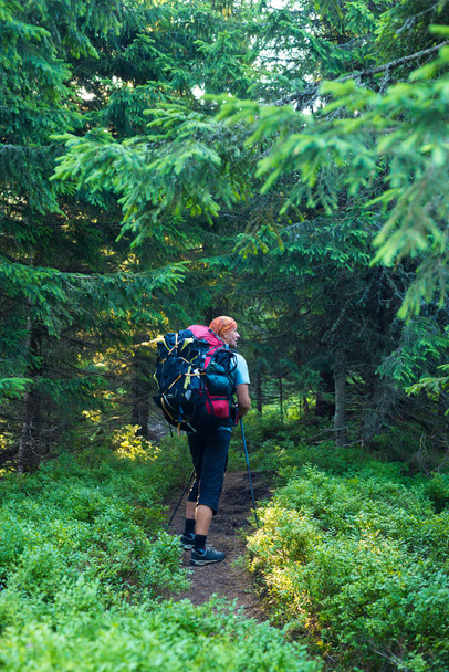 Traveler go with big backpack along the trail  - Fotografie, Obrázek
