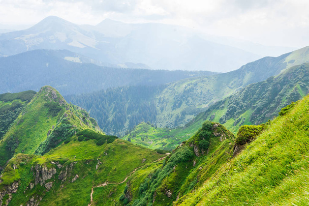 Путешествия, походы, природа. Величественные, высокие зеленые горы. Горизонтальная рамка
 - Фото, изображение