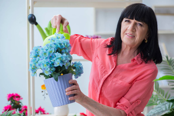 Mulher florista trabalhando na loja de flores - Foto, Imagem