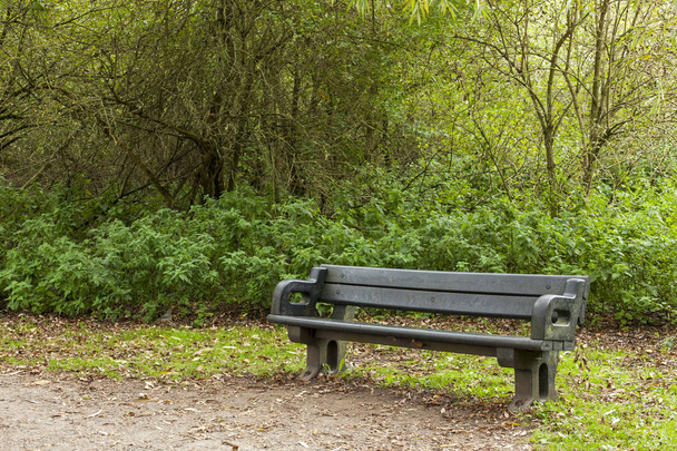 Prázdné staré lavice v podrostu lesa - Fotografie, Obrázek