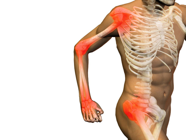 Ilustración conceptual 3D diseño de la salud de la anatomía del hombre humano, dolor articular o articular, dolor o lesión en el fondo blanco para médico, fitness, medicina, hueso, cuidado, dolor, osteoporosis, artritis cuerpo
 - Foto, imagen