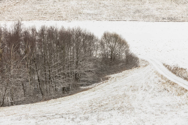 Trees in field covered by snow. Winter scenery - Fotoğraf, Görsel
