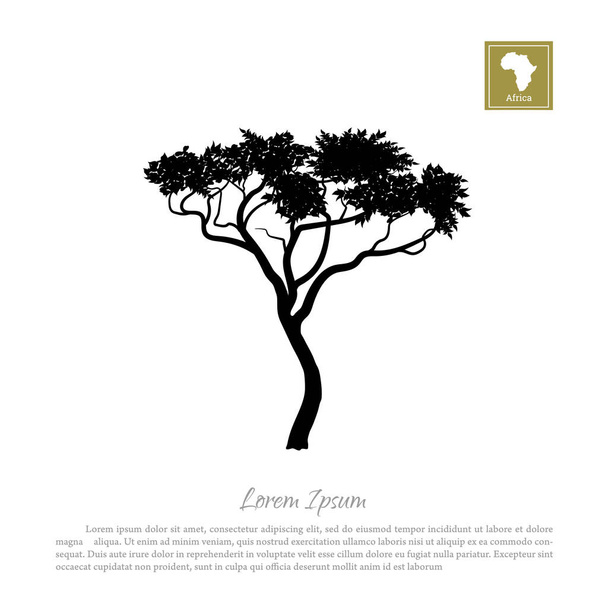 Black silhouette of a tree and white background. African nature. Umbrella acacia - Vector, Image