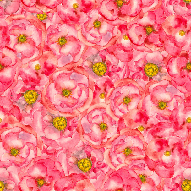 Watercolor rose seamless pattern - Foto, Bild