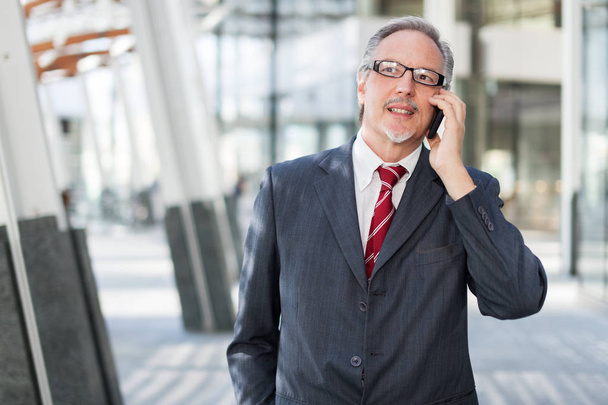 businessman talking on phone  - Foto, Imagem