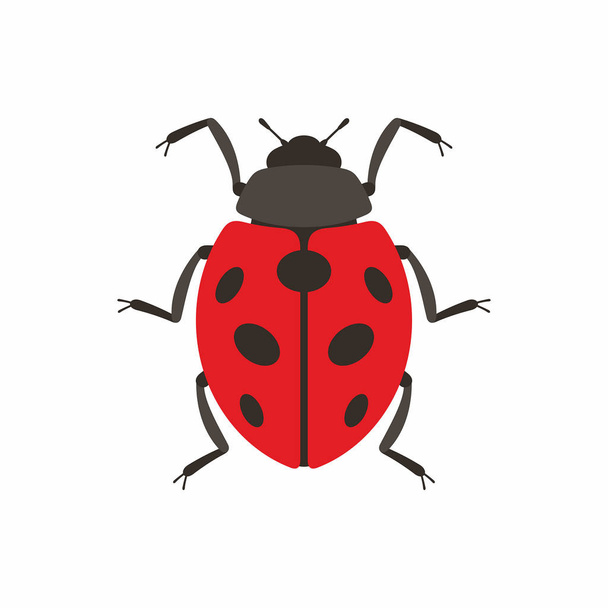 Ladybug vector icoon - Vector, afbeelding