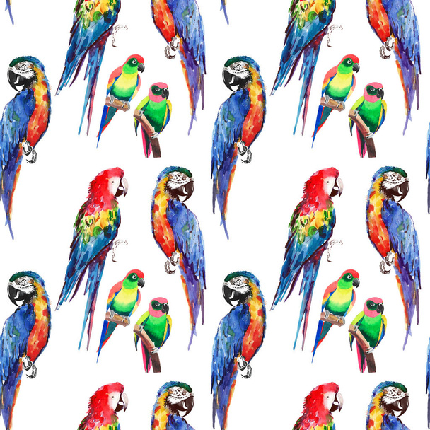 Bright colorful beautiful lovely sophisticated jungle tropical yellow, green, red and blue big tropical parrots and little green tropical birds diagonal pattern watercolor hand illustration - Foto, Imagen