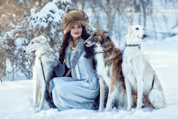 A girl with greyhounds on the snow - Photo, image