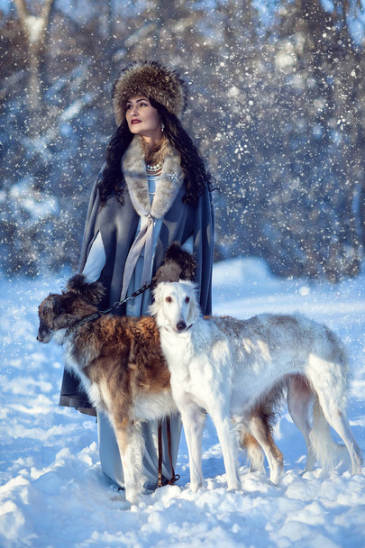 A girl with greyhounds on the snow - Foto, Imagem