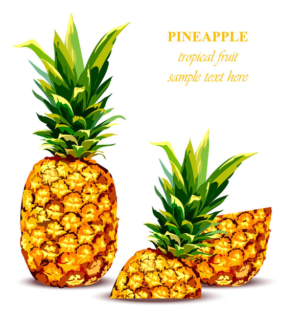 Pineapple fruit Tropical style card. Vector illustrations - Vector, Image