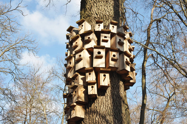 Csatolja a madárház a fa károsodás nélkül.  - Fotó, kép