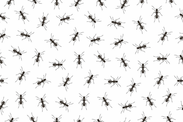 Seamless pattern ants - Vector, imagen